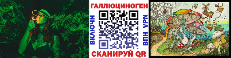 Псилоцибиновые грибы Cubensis как найти закладки Шуя